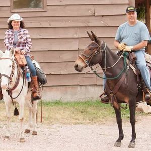 Meet your Posher, Bruce